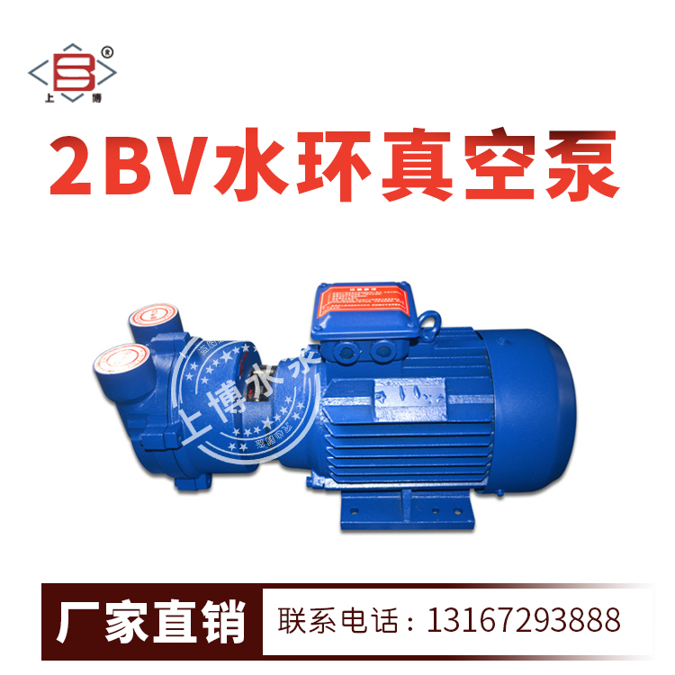 2BV型水环式真空泵