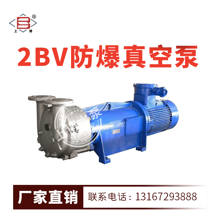 2BV系列水环真空泵